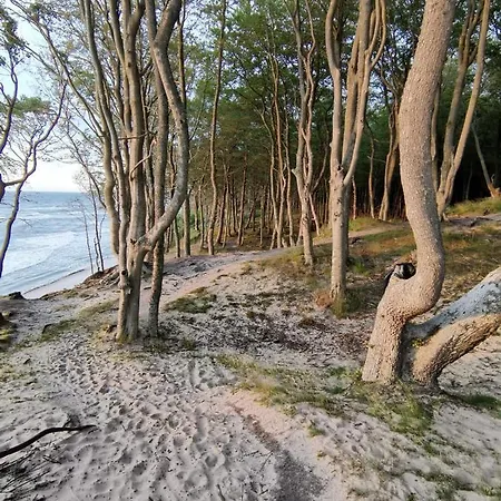 Port Royal Debina * Debina (Ustka)