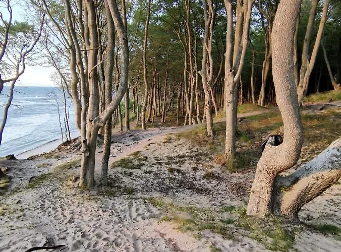 Port Royal Debina * Debina (Ustka)